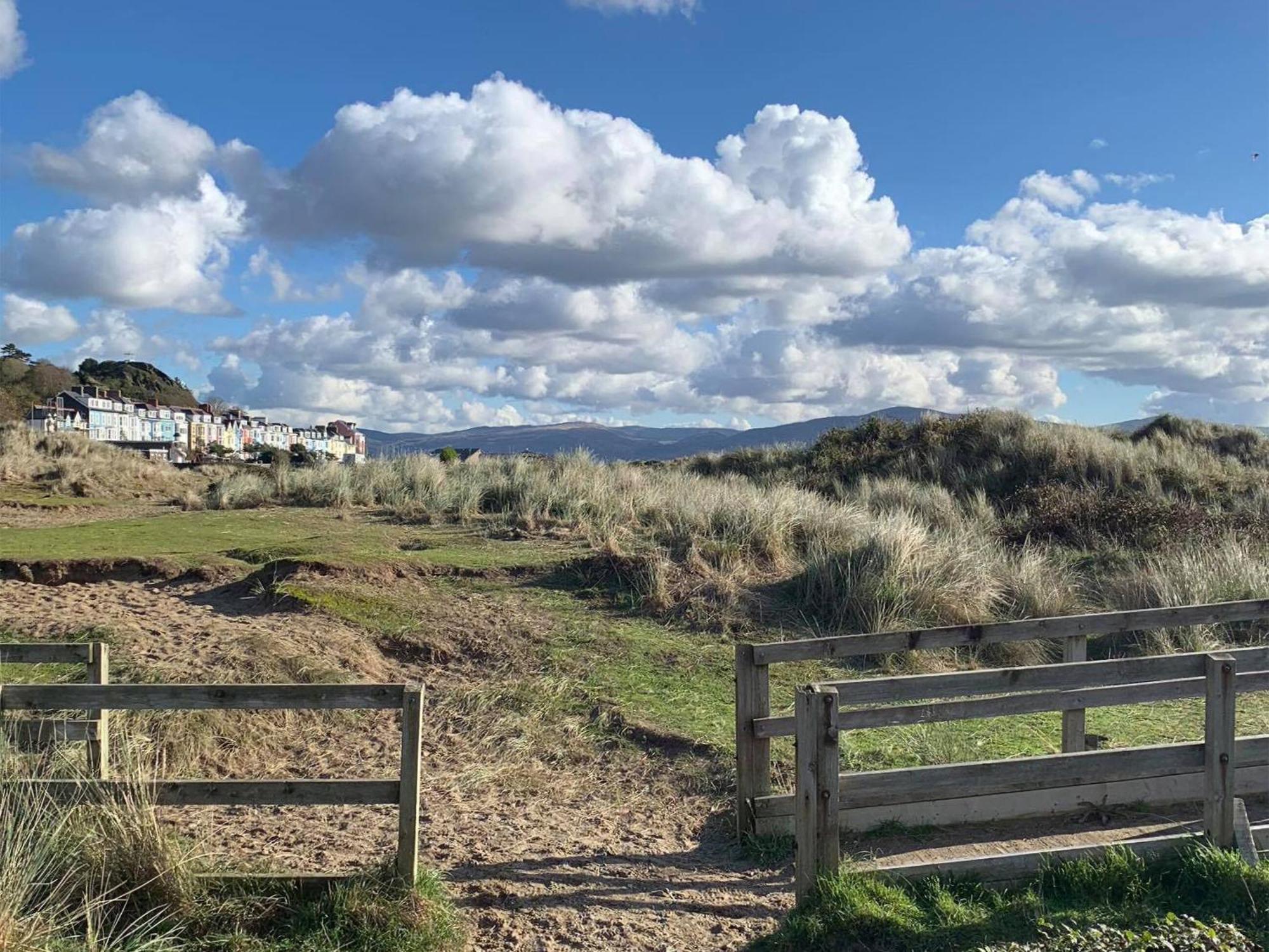 Driftwood Villa Aberdyfi Bagian luar foto